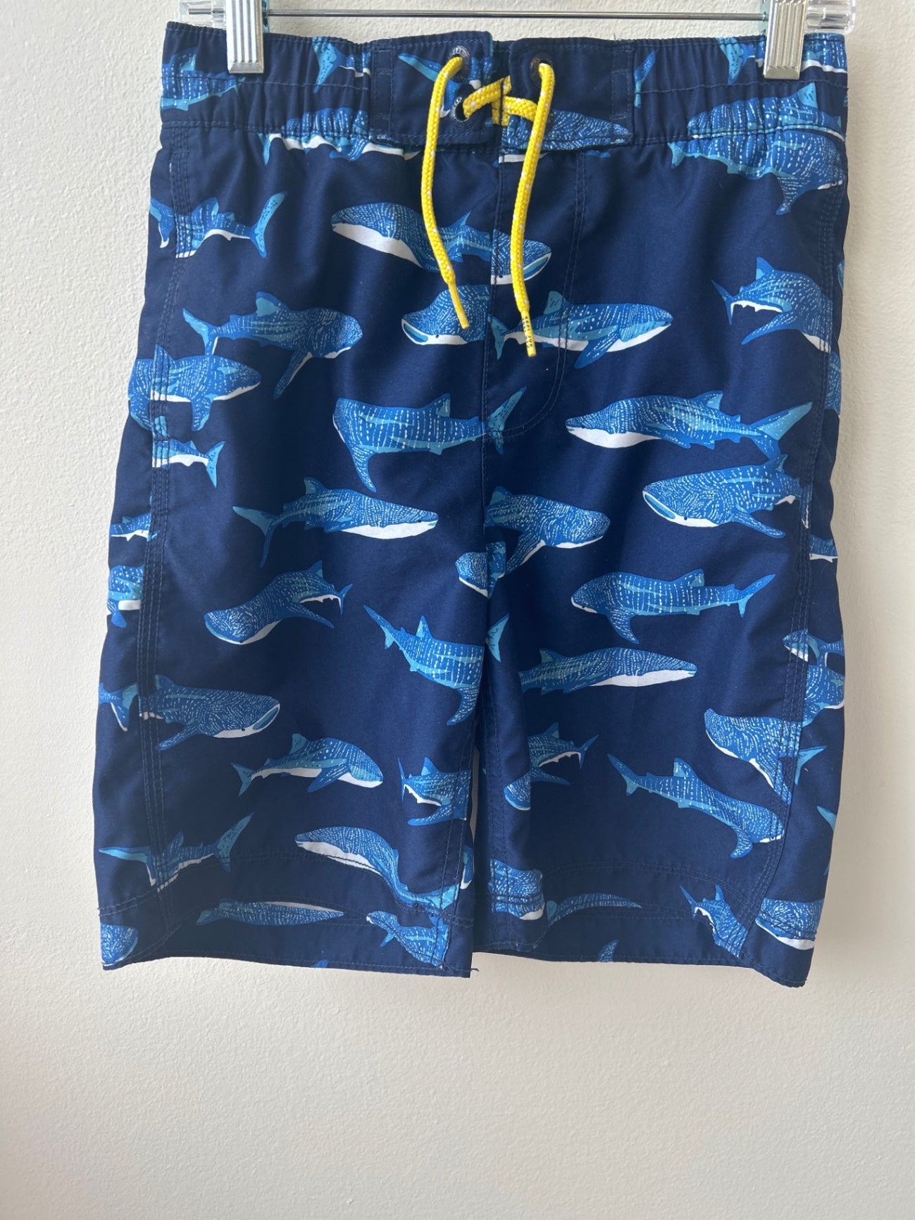 Gap | 8 | Swim - Blue - Whale Sharks