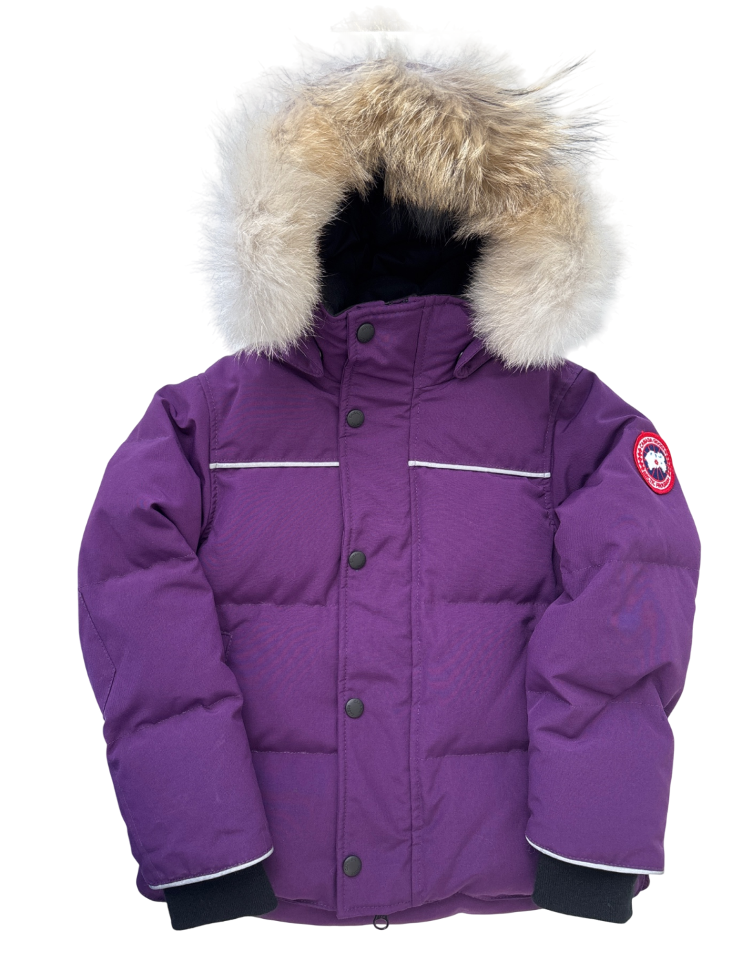 Canada Goose | 4/5 | Snowy Owl Parka - Purple