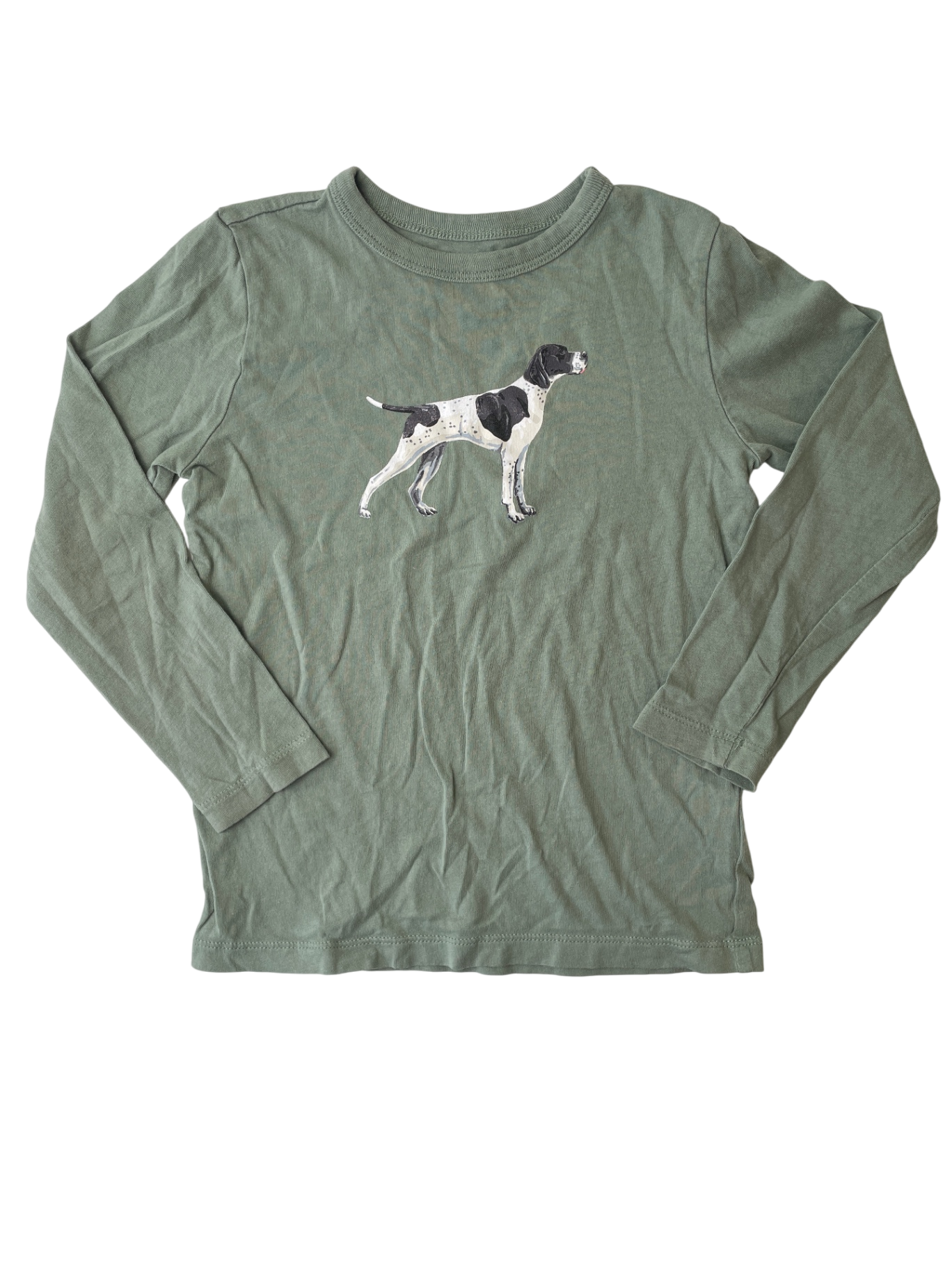 Crewcuts Long Sleeve T-Shirt - Green Dog | size 4T/5T