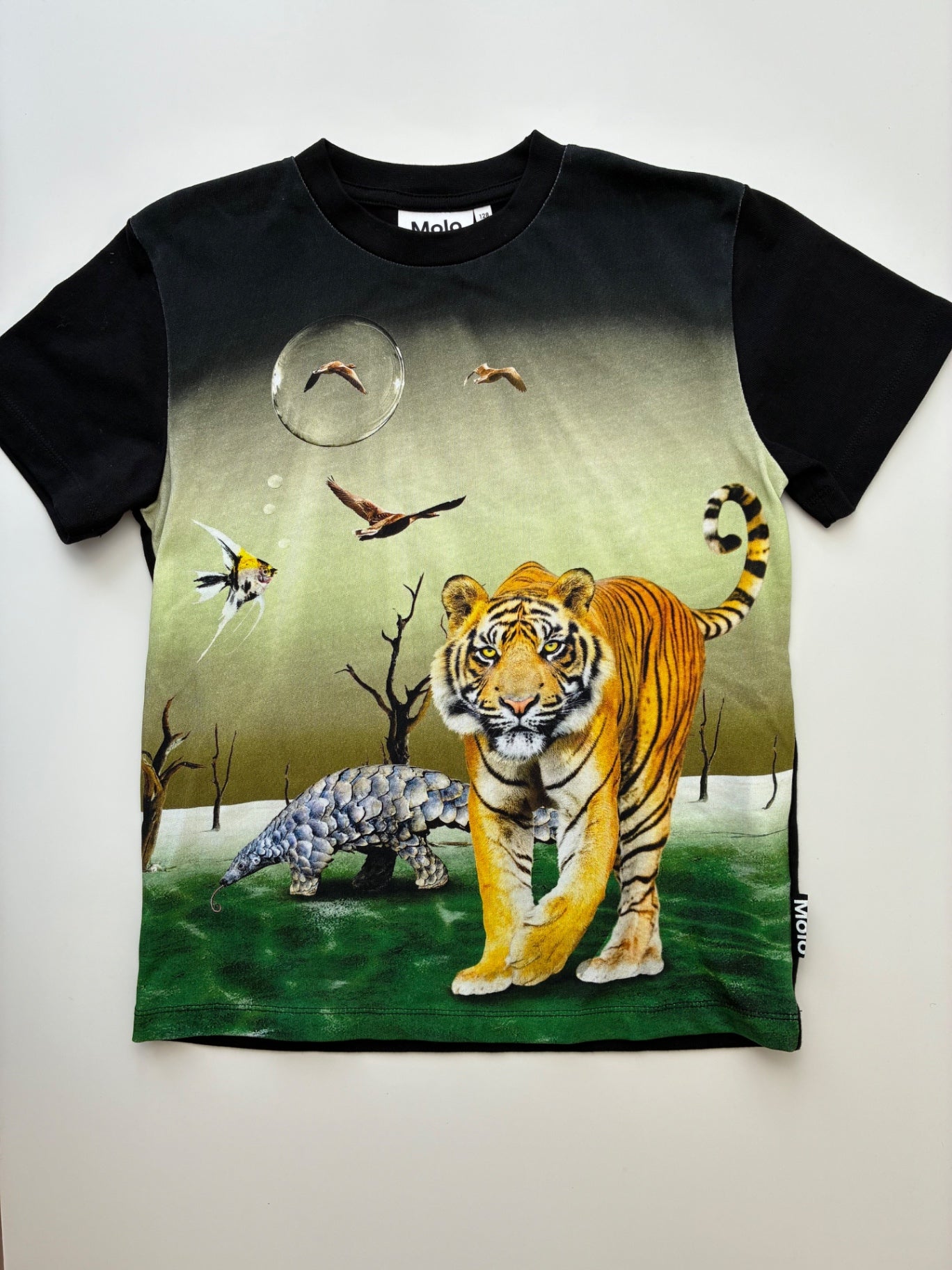 Molo T-Shirt - Black Tiger Graphic | size 7/8