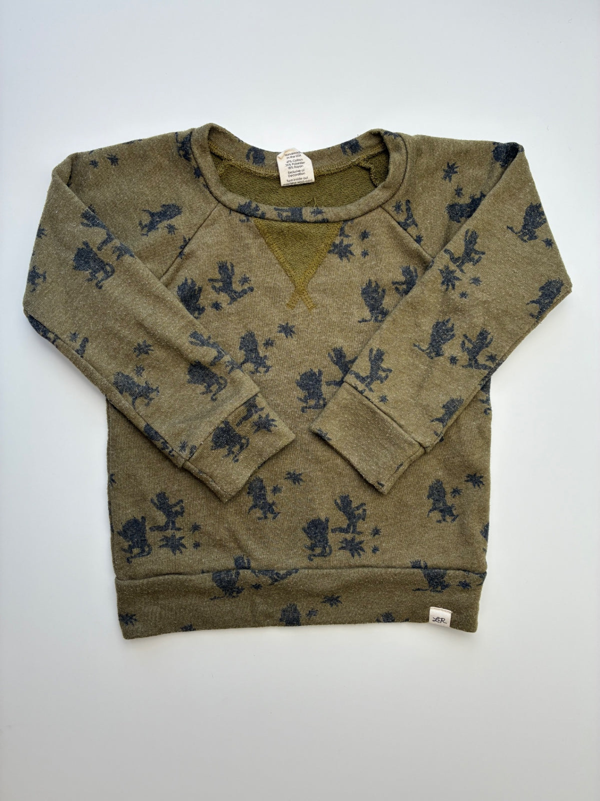 Lulu + Roo Sweatshirt - Green Where The Wild Things Are Crewneck | size 4T