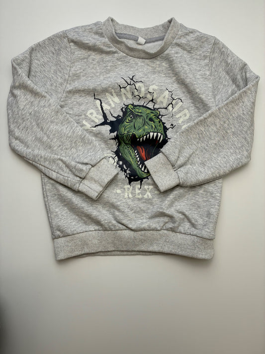 Dandelion Kids Sweatshirt - Gray T-Rex Graphic | size 7