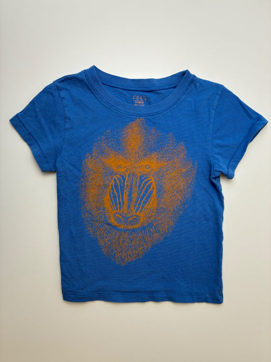 EGG New York T-Shirt - Blue Mandrill Face | size 4T
