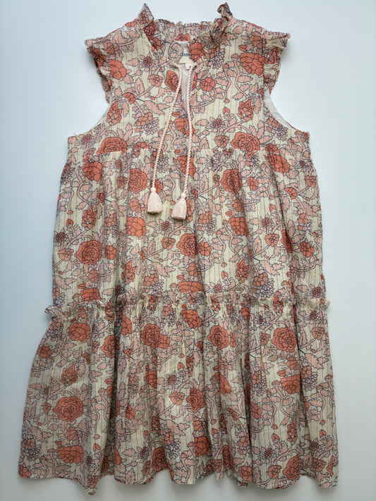 Louis Louise Dress - Pink Floral + Metallic Stripes | size 8