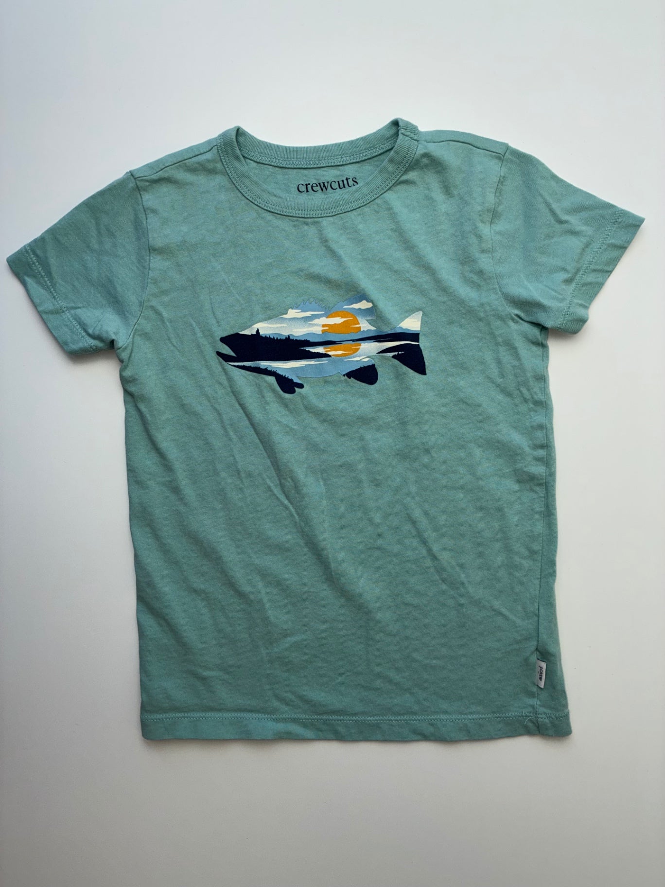 Crewcuts T-Shirt - Green Fish Graphic | size 4T/5T