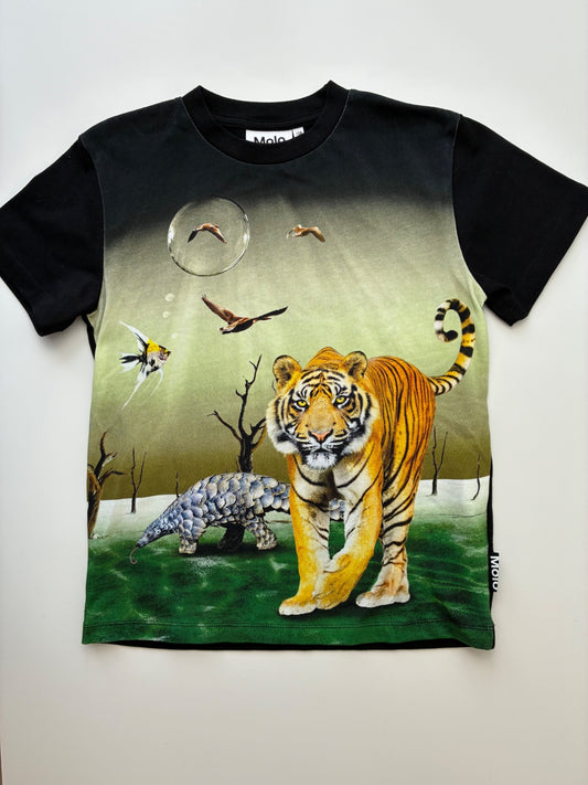 Molo T-Shirt - Black Tiger Graphic | size 7/8