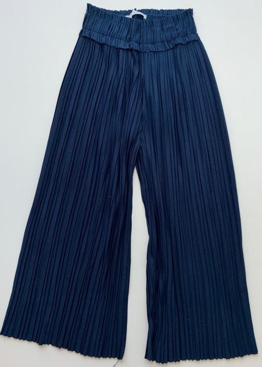 Zara Pants - Navy Blue Pleated Wide Leg | size 9