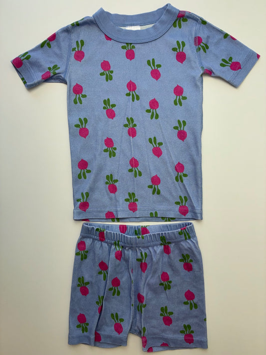 Hanna Andersson 2 Piece Ensemble - Purple Radish Short Pajamas | size 4T