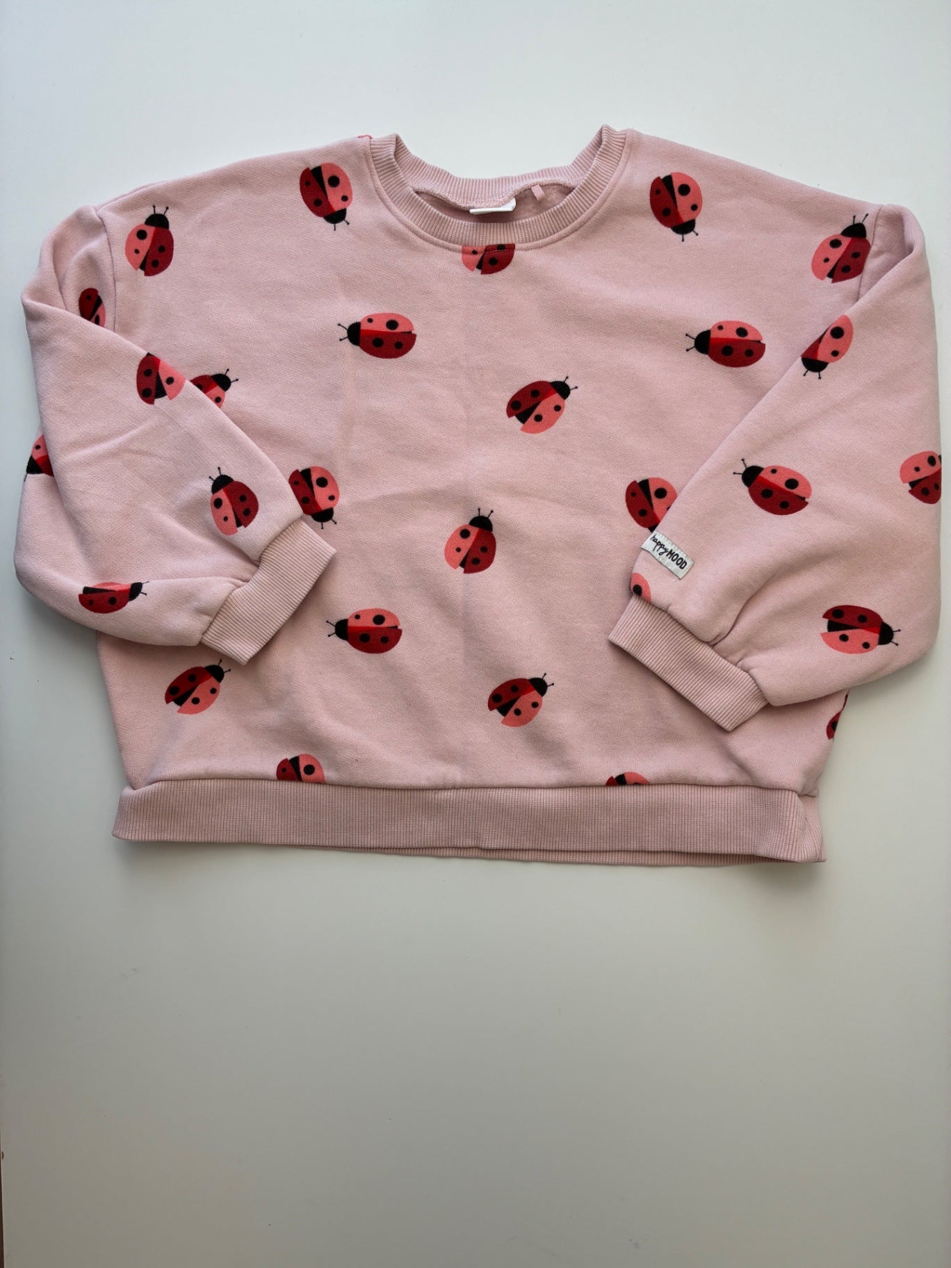 Next US Sweatshirt - Pink Ladybug Crewneck | size 6/7