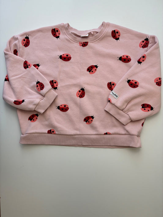 Next US Sweatshirt - Pink Ladybug Crewneck | size 6/7
