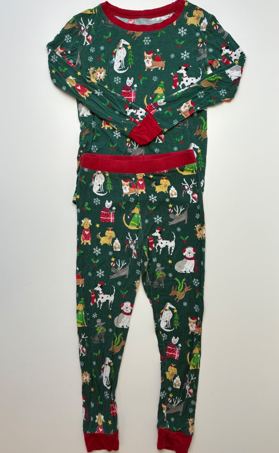 Little Sleepies 2 Piece Ensemble - Green Holiday Dogs Long Pajamas | size 4T