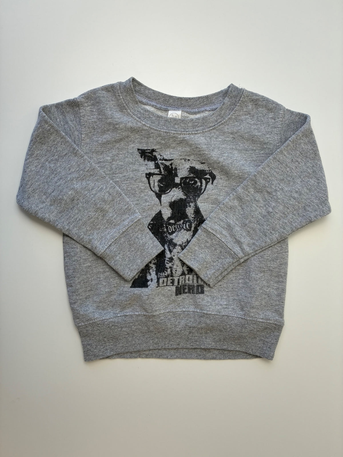 Rabbit Skins Sweatshirt - Gray Dog Graphic Crewneck | size 2T